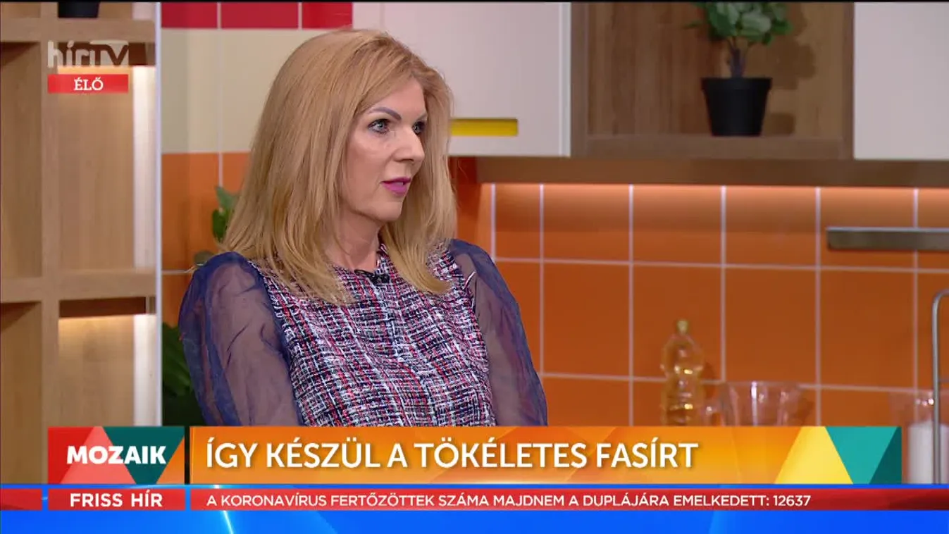 Mozaik - Így készül a tökéletes fasírt