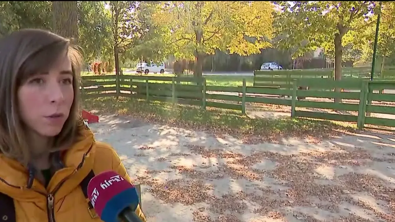 Mozaik - Mesék segítenek megnyugtatni a kicsiket és nagyokat egyaránt