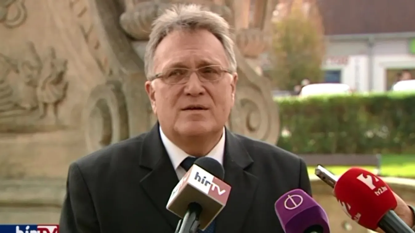 Rendkívüli közgyűlésen döntenek a Zöld Híd vezetőségének jövőjéről