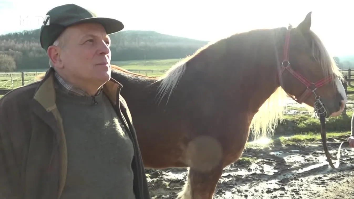 Soroló: A legmagasabb szintű kereskedelmi igények kiszolgálása