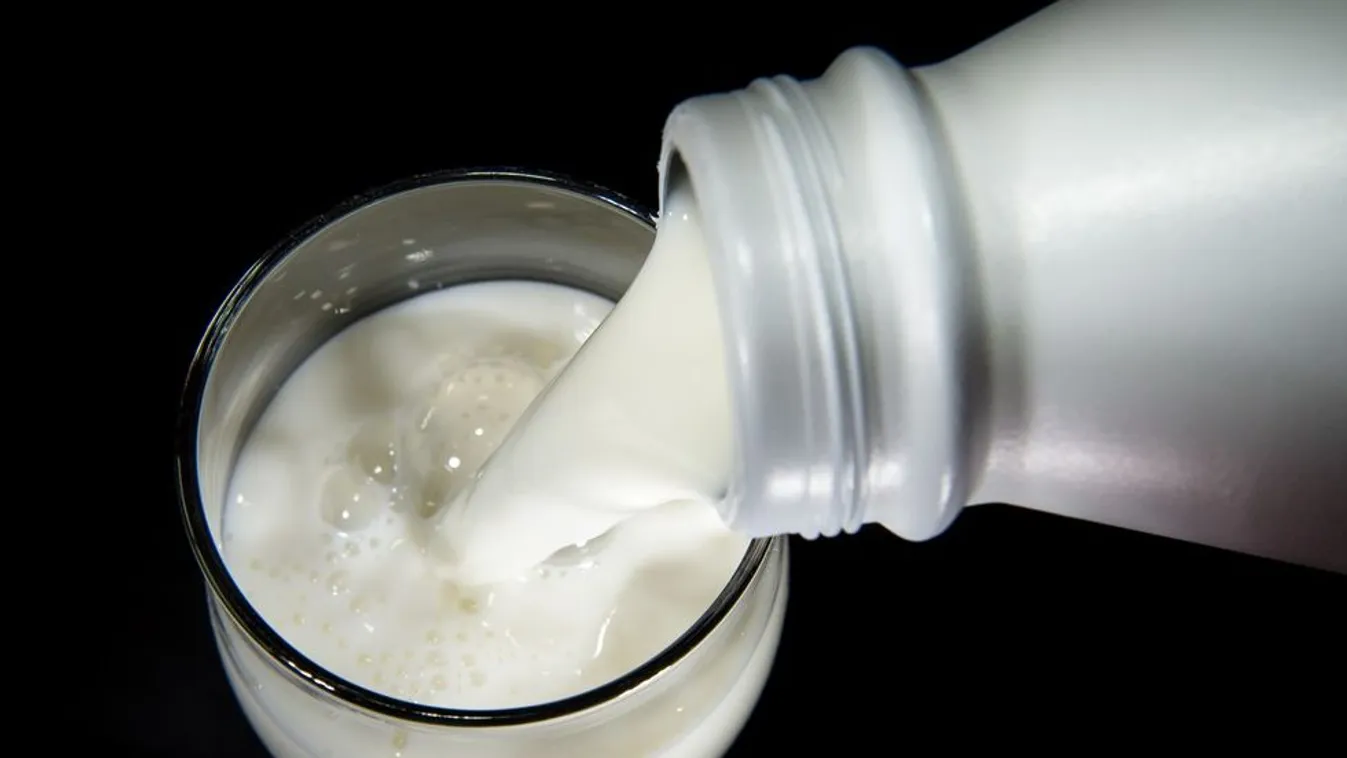 Tejes tiltakozás – Reggeli járat