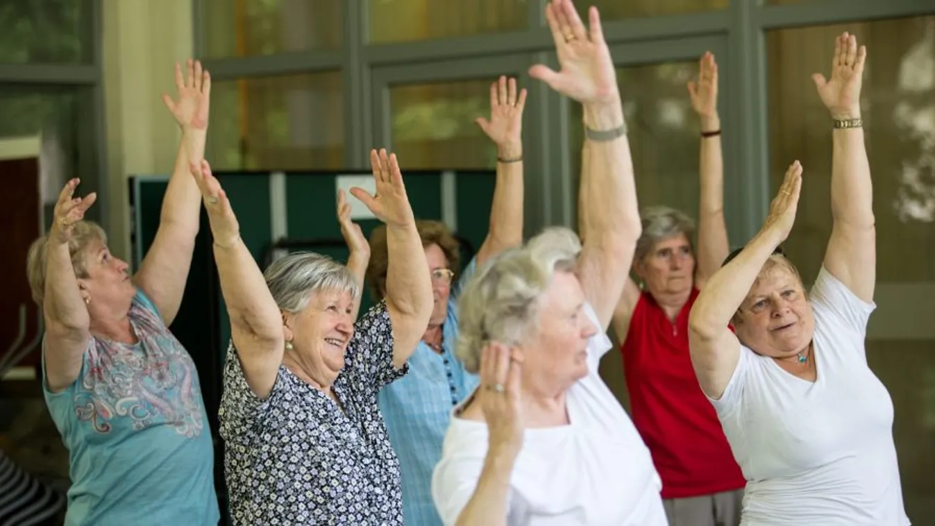 Re-generáció – Látótér