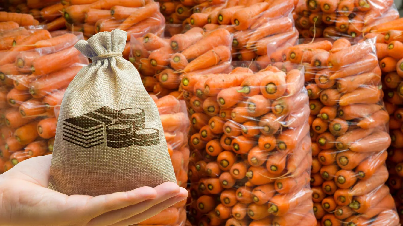 Ismét pályázhatnak támogatásra a mezőgazdasági kisüzemek