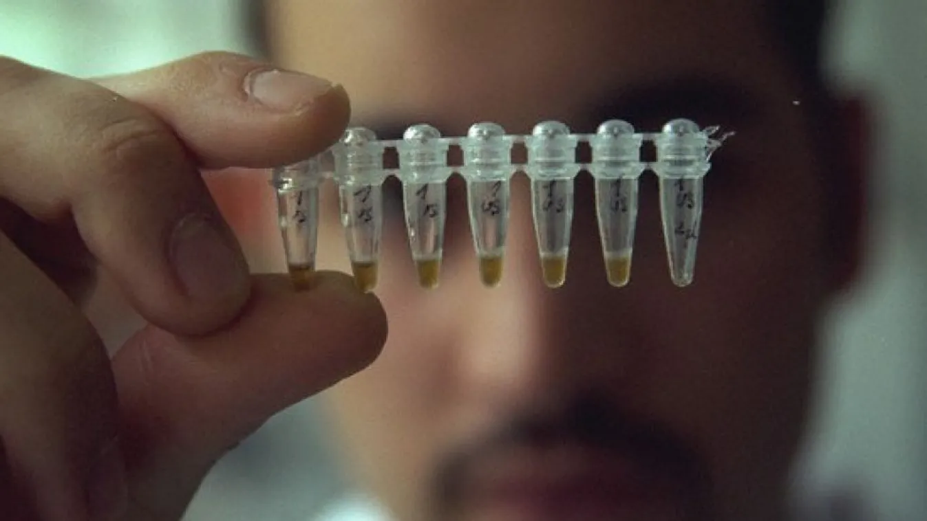 Az eltiltás ellenére is tevékenykednek?