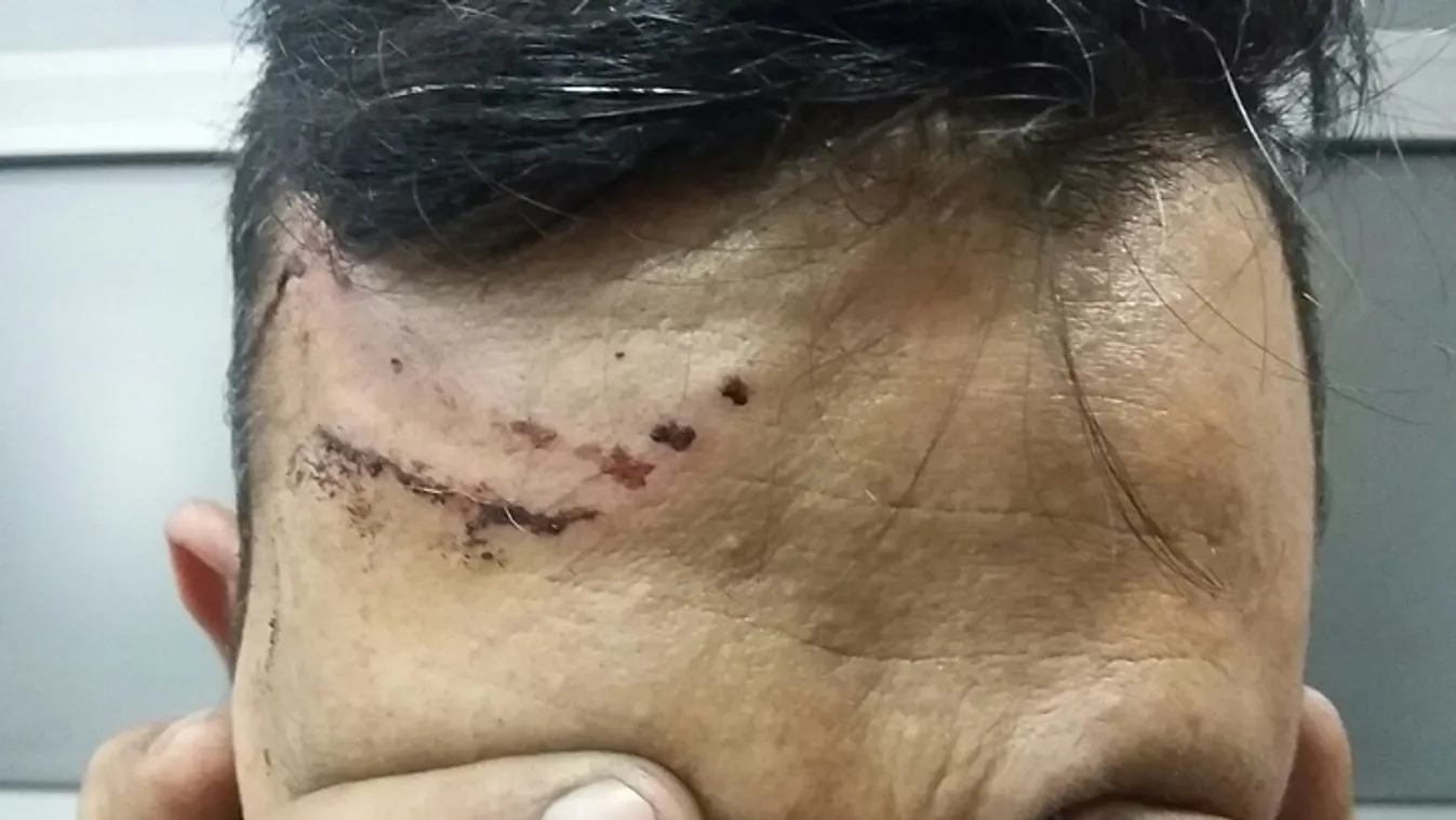 Alternatív valóság – Hírvilág