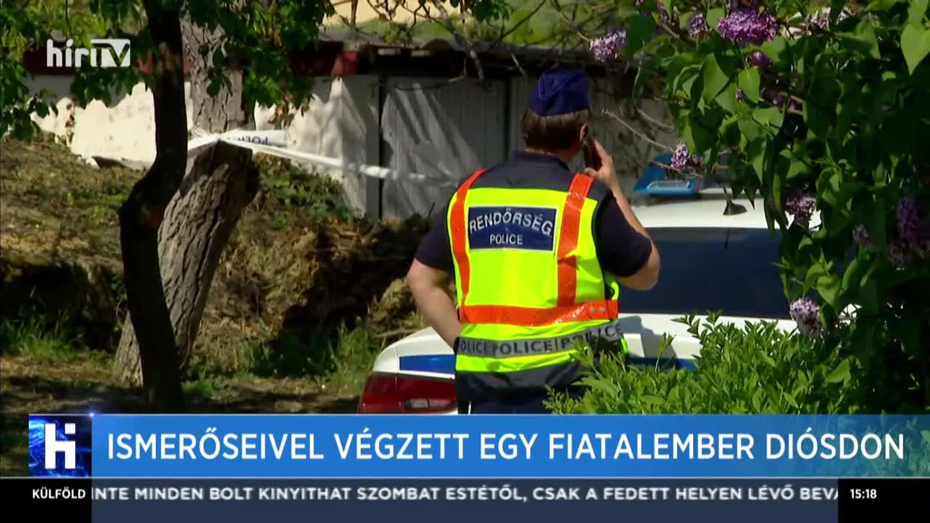 Ismerőseivel végzett egy fiatalember Diósdon