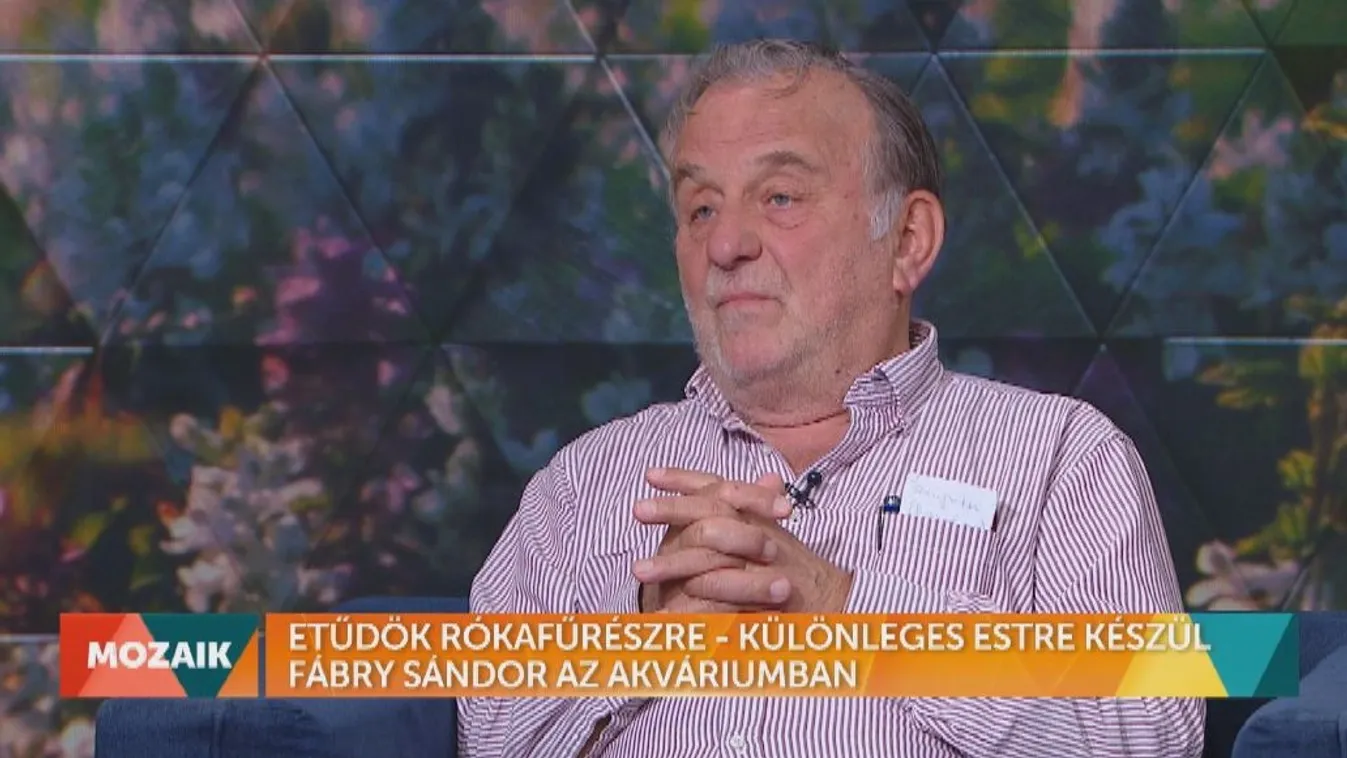 Mozaik - Etűdök rókafűrészre - különleges estre készül Fábry Sándor az Akváriumban
