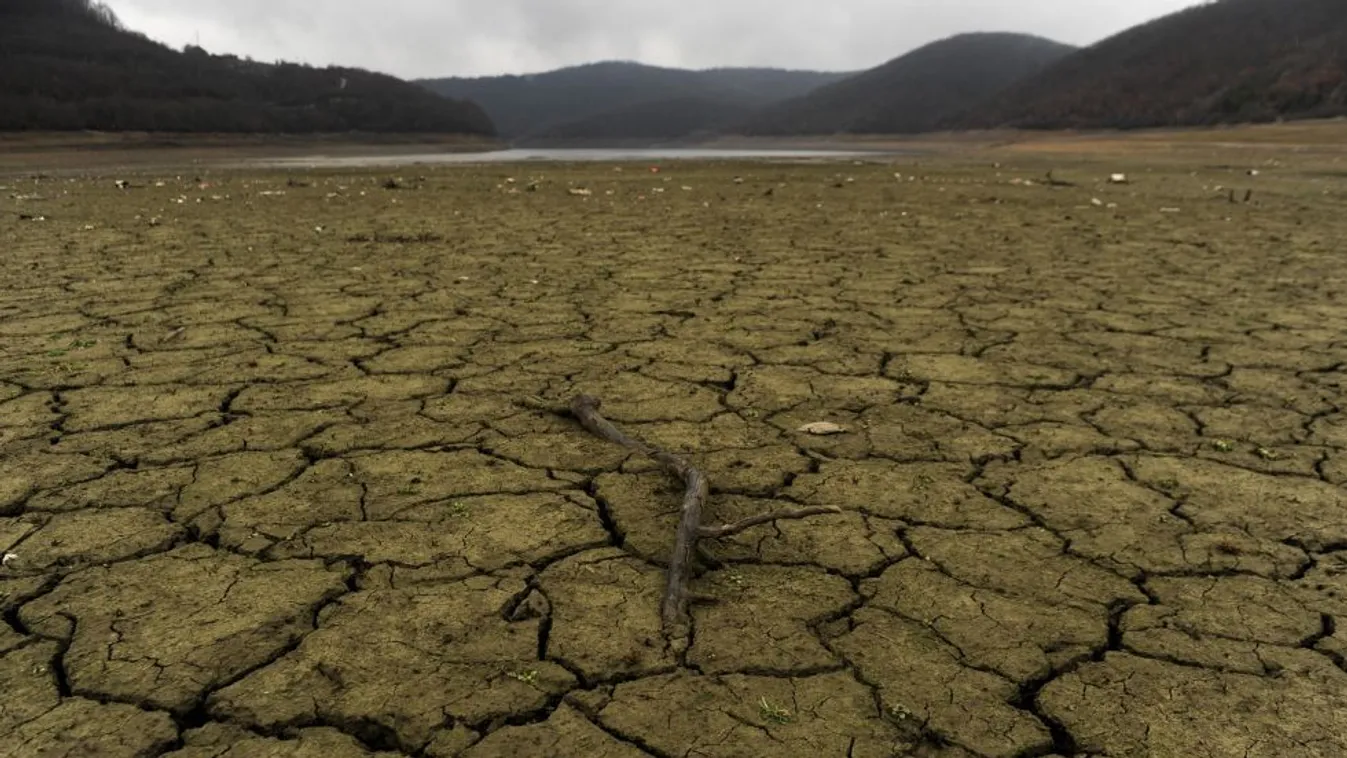 Globális felmelegedés – BBC Reporters