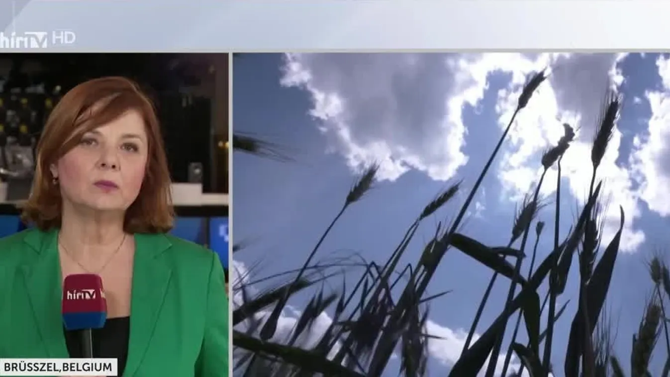 Nem akarták a brüsszeli bürokraták, mégis kampánytéma lehet az ukrán gabonadömping + videó