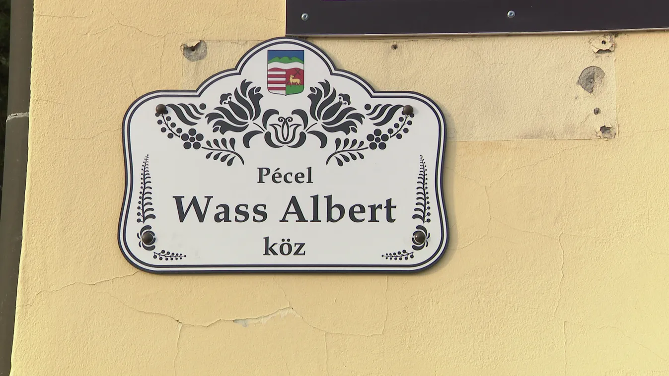 Közterületet neveztek el Wass Albertről Pécelen