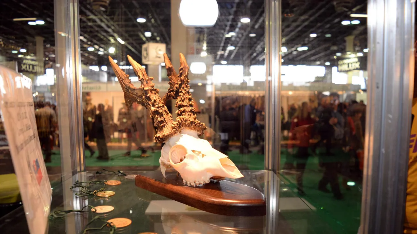 Megnyílt az idei FeHoVa + videó