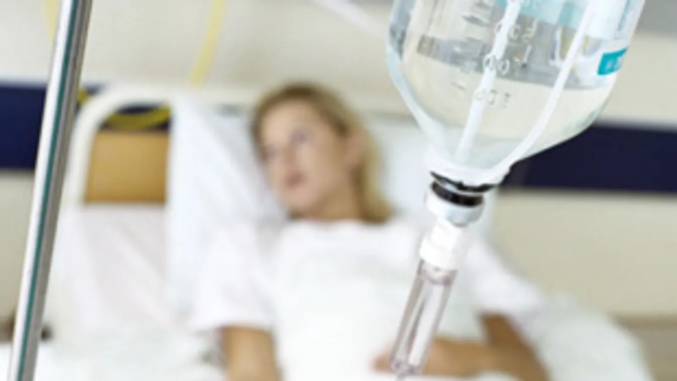 Mikroorganizmus – Látótér