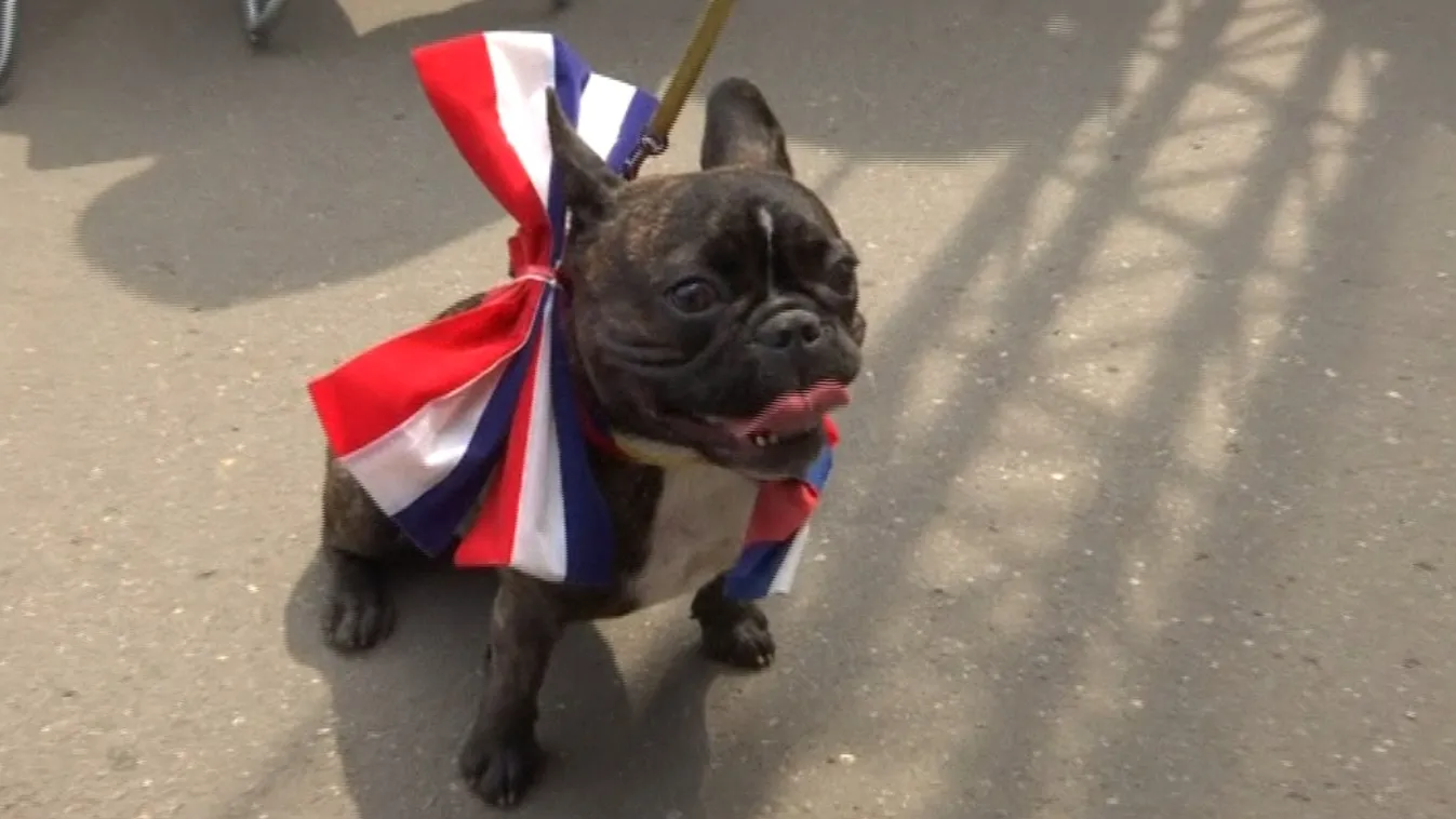 „Megismételjük a '98-as döntőt” – „Szétrúgjuk a franciák hátsóját”