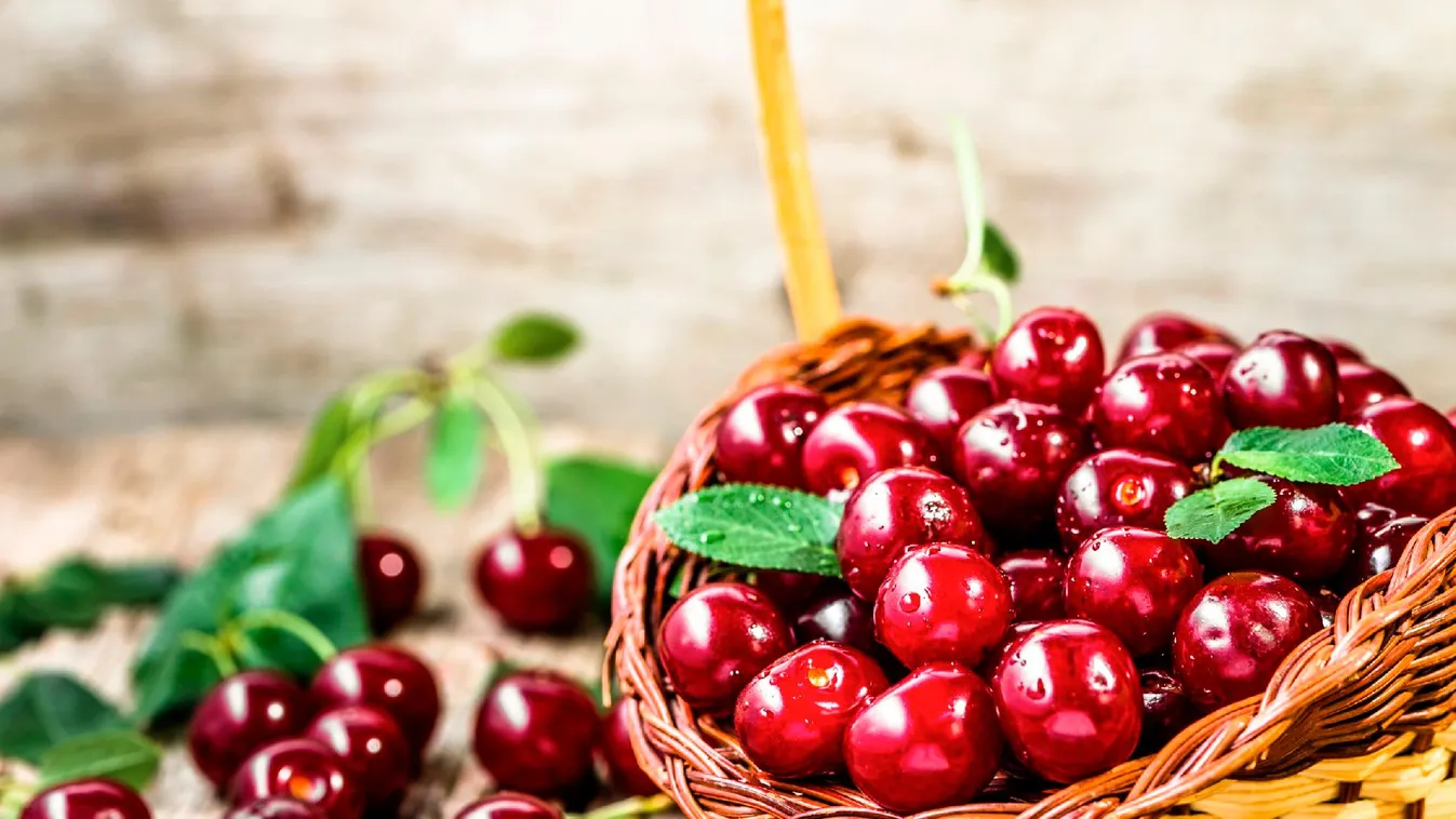 Uniós földrajzi árujelző oltalmat kapott a Nagykörűi ropogós cseresznye