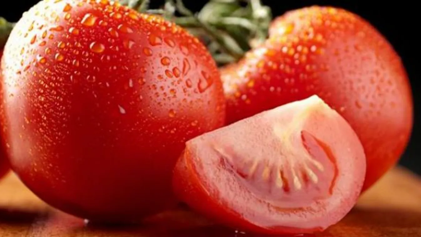 350 munkahelyet teremt az új beruházás