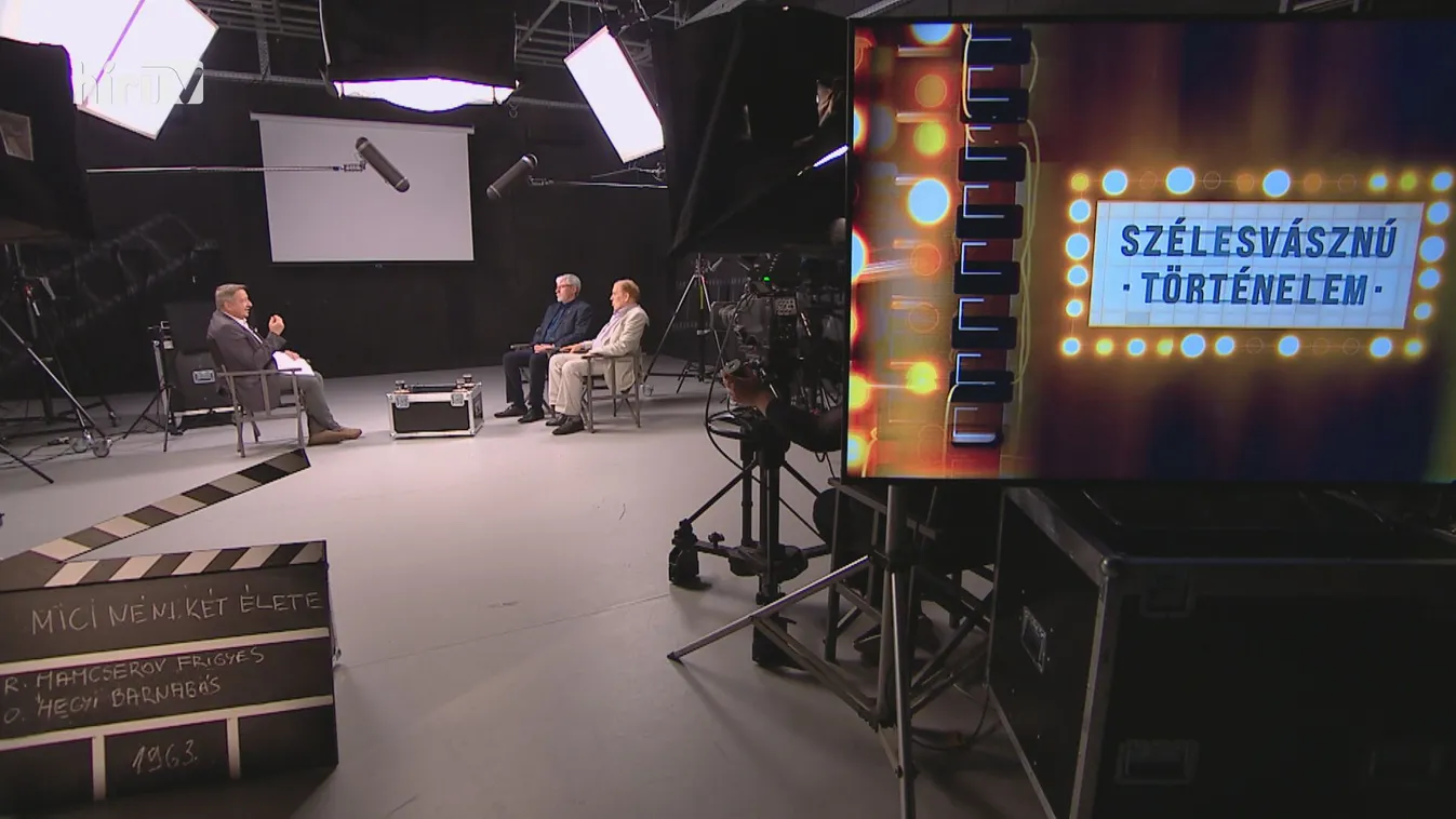 Szélesvásznú történelem: A Mici néni két élete, egyike az ikonikus magyar filmeknek