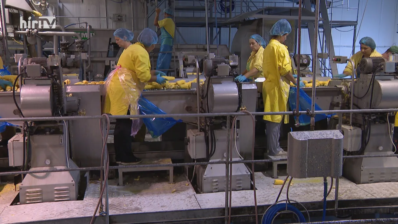 Varga Mihály: Kamatmentes hitel segíti a bajba jutott vállalkozásokat