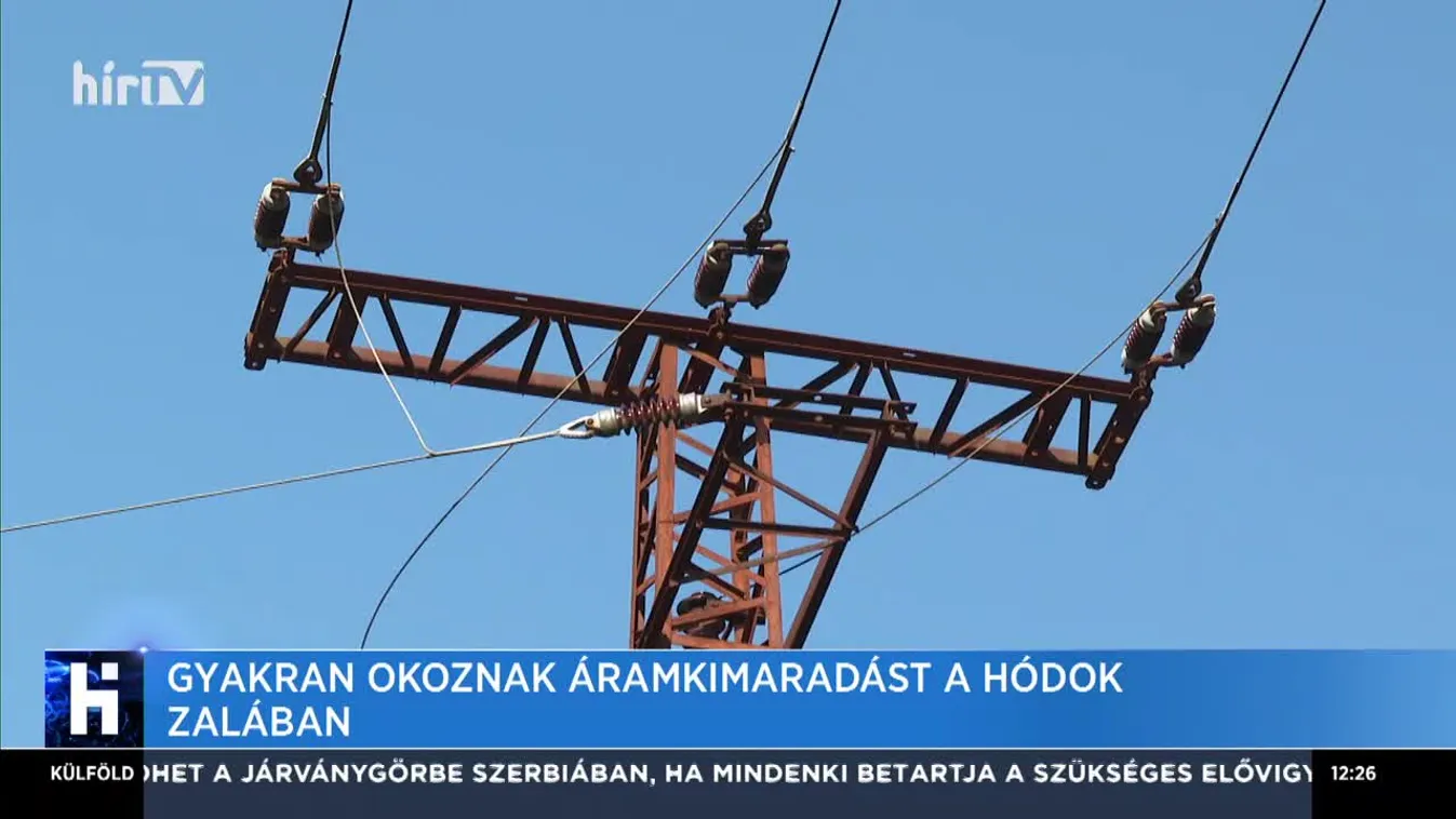 Gyakran okoznak áramkimaradást a hódok Zalában