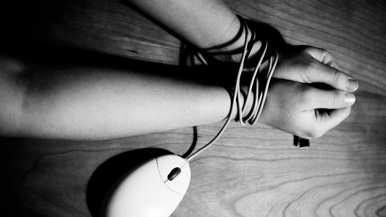 Egész képgaléria volt a beteges vágyaktól hajtott férfi számítógépén