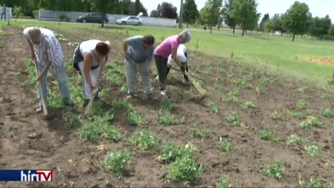 A földet és a magot kapják, a termést pedig vihetik