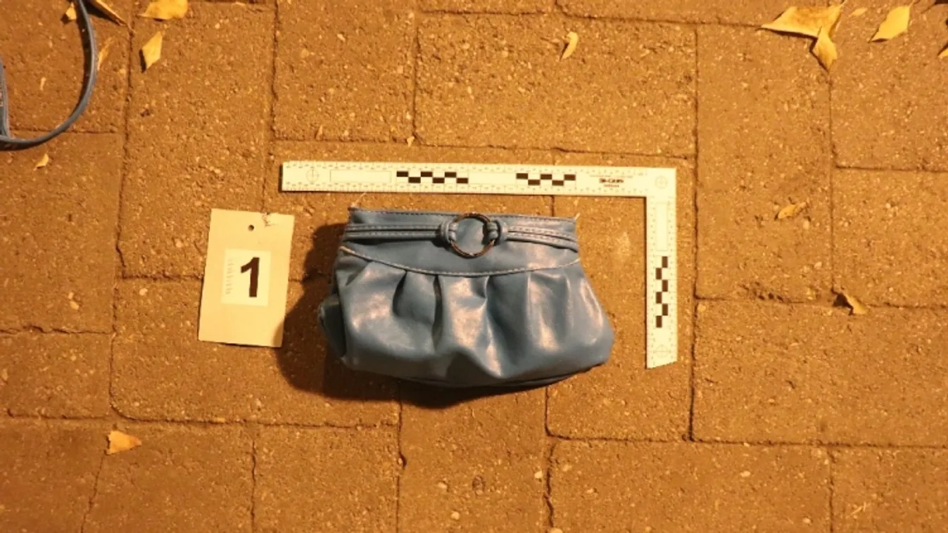 Befejezték a nyomozást a rabló ellen