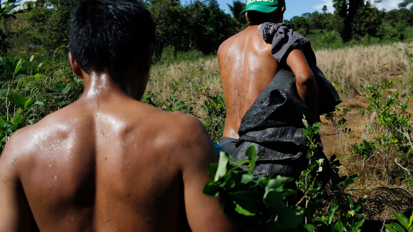 Mexikóban egy új fegyveres testületet hoznak létre a bűnözés elleni küzdelemre