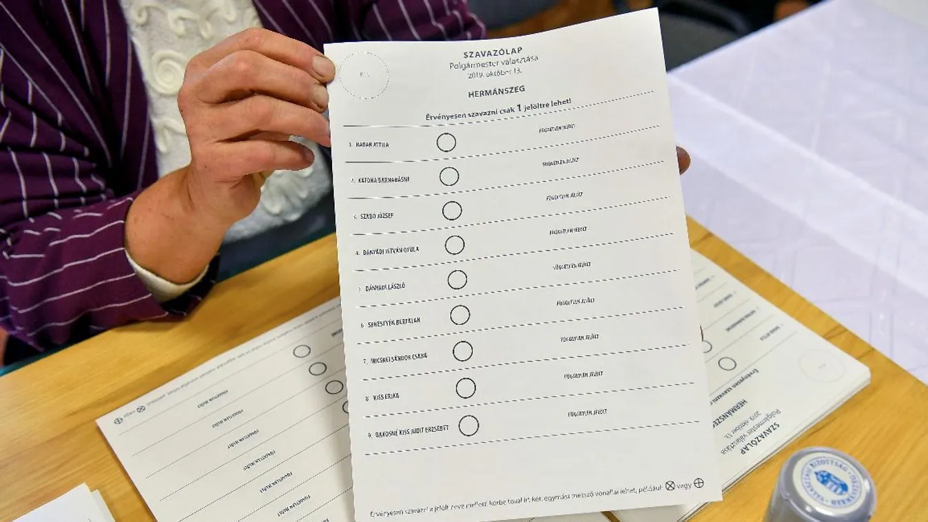 Harminc nemzetközi megfigyelő regisztrált a választásra