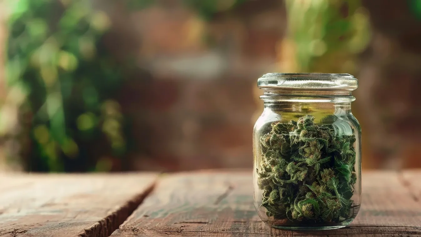 Húsfeldolgozó üzemben termesztett kannabiszt egy férfi