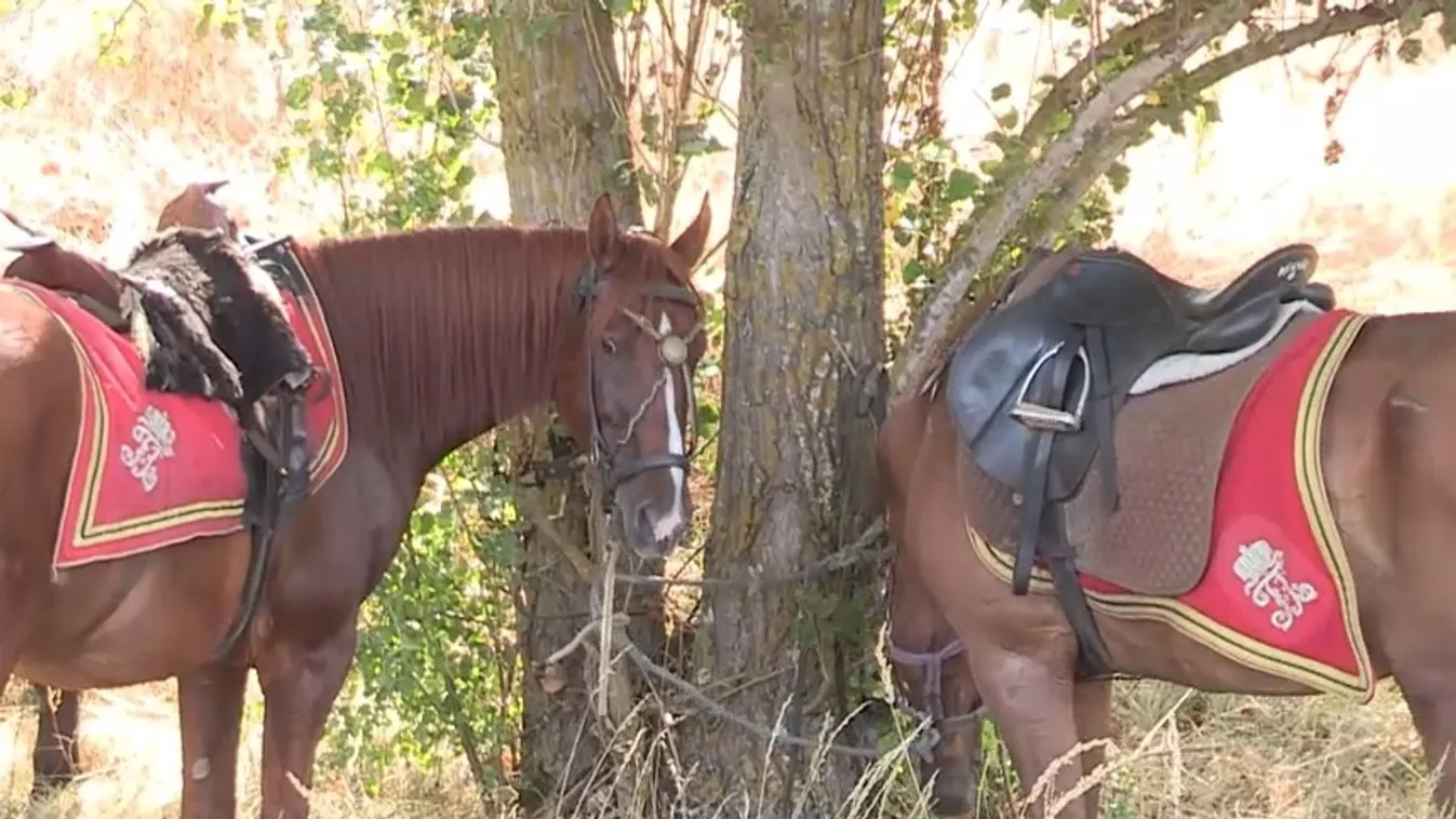 15. alkalommal rendezik meg Gyenesdiáson a Nemzeti Vágta előfutamát + videó