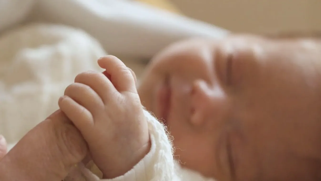 Radar – A születés lelki hatásai + videó