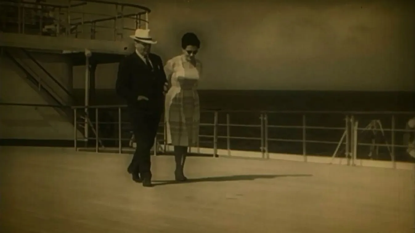 Sirály – Felfedező