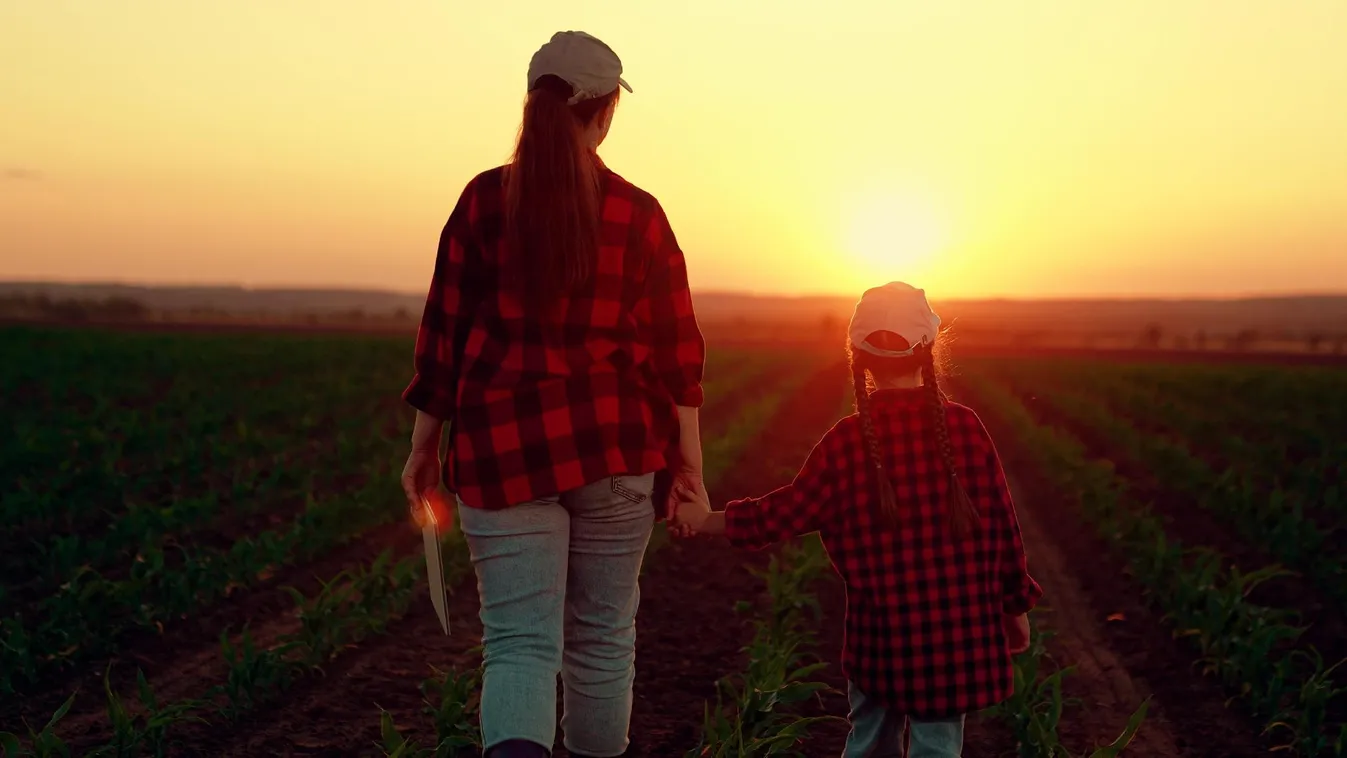 Újabb családok lélegezhetnek fel