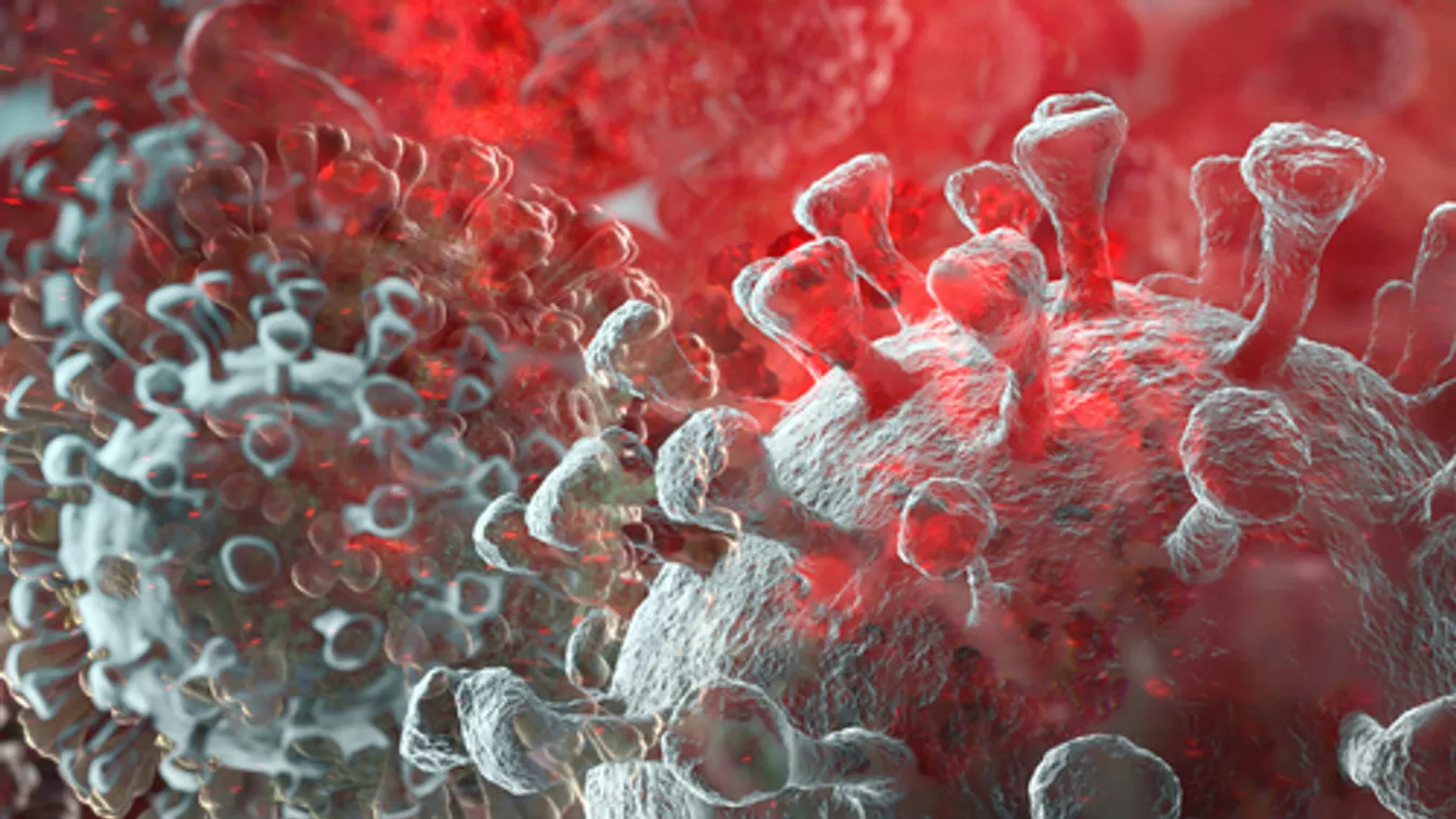 Latin-Amerikában a kormányok különbözőképpen reagálnak a járványra