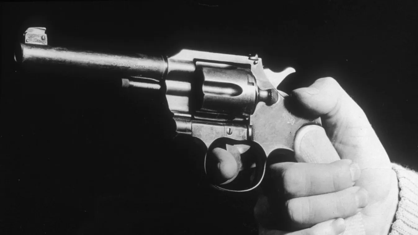 Fegyvert rántott tanárára egy cseh diák