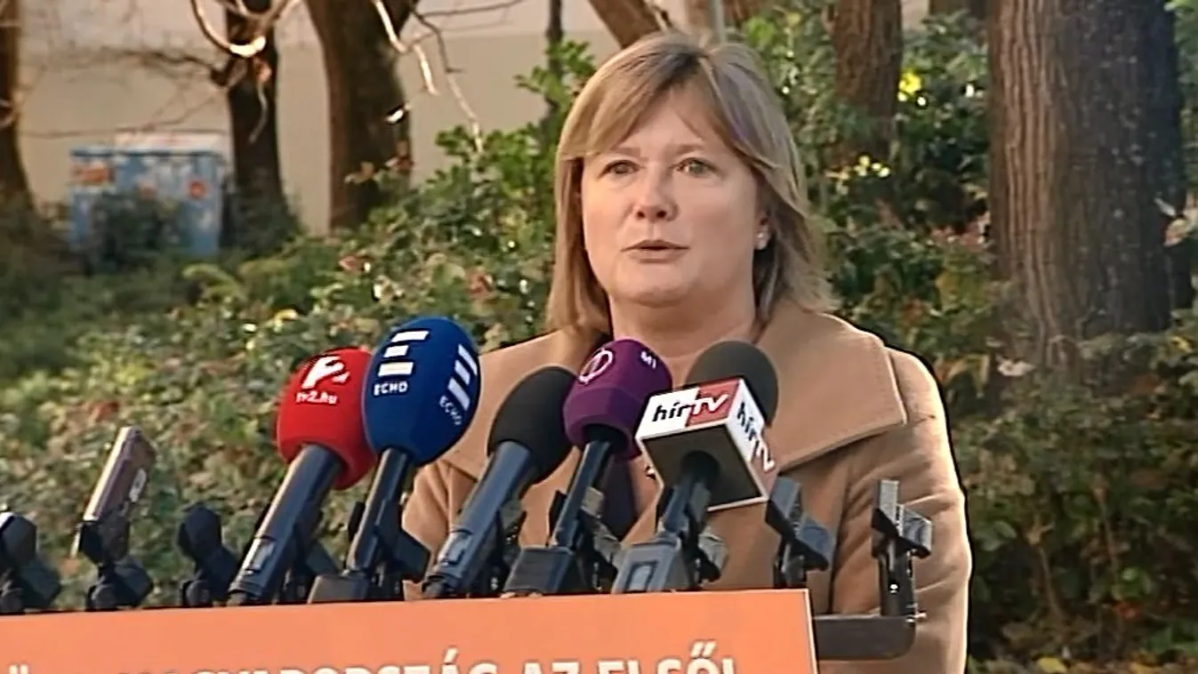 Gál Kinga: A baloldal miatt újra szavazhatnak a migránsvízumról