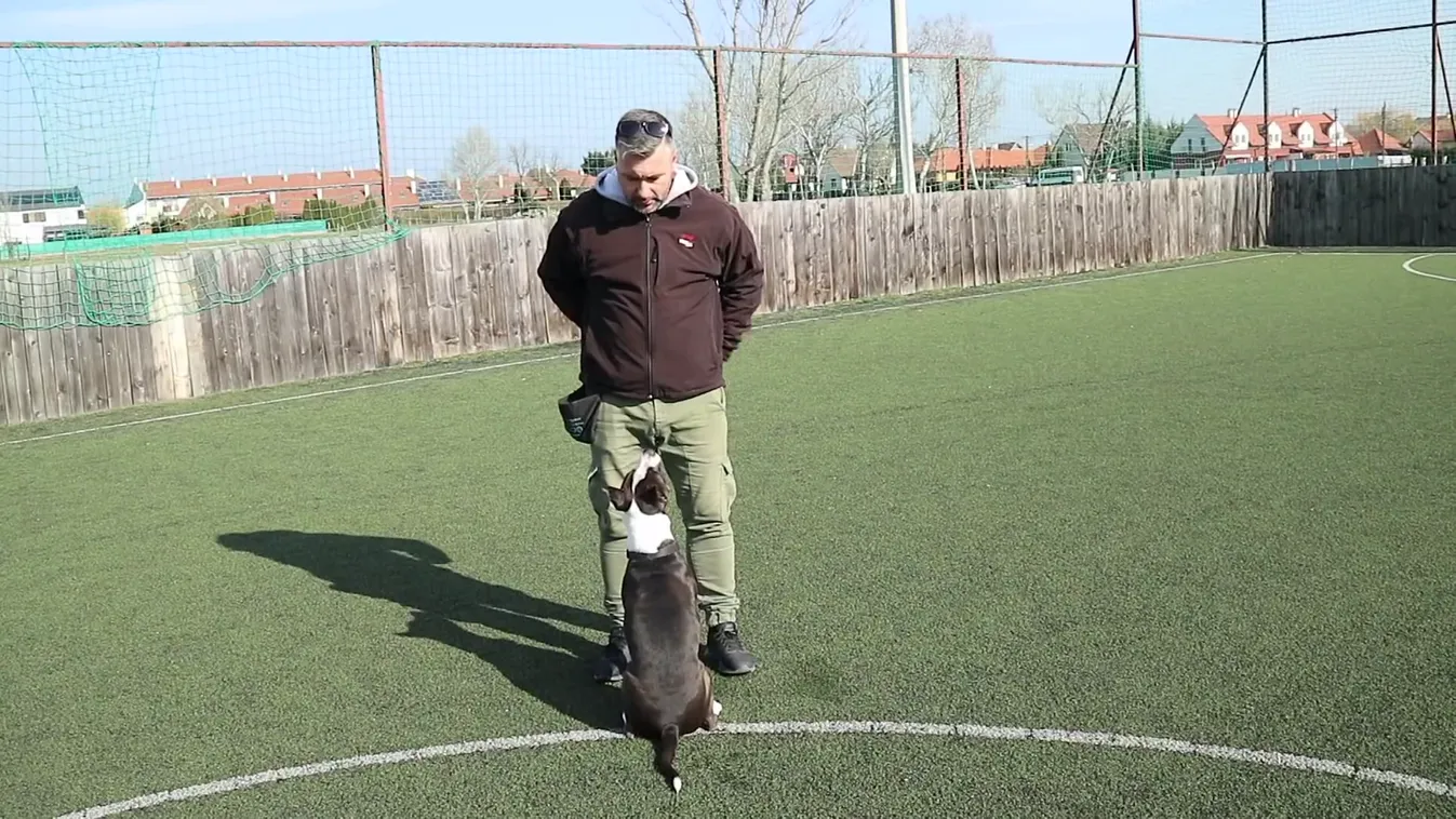 Napindító - Nincs neveletlen kutya