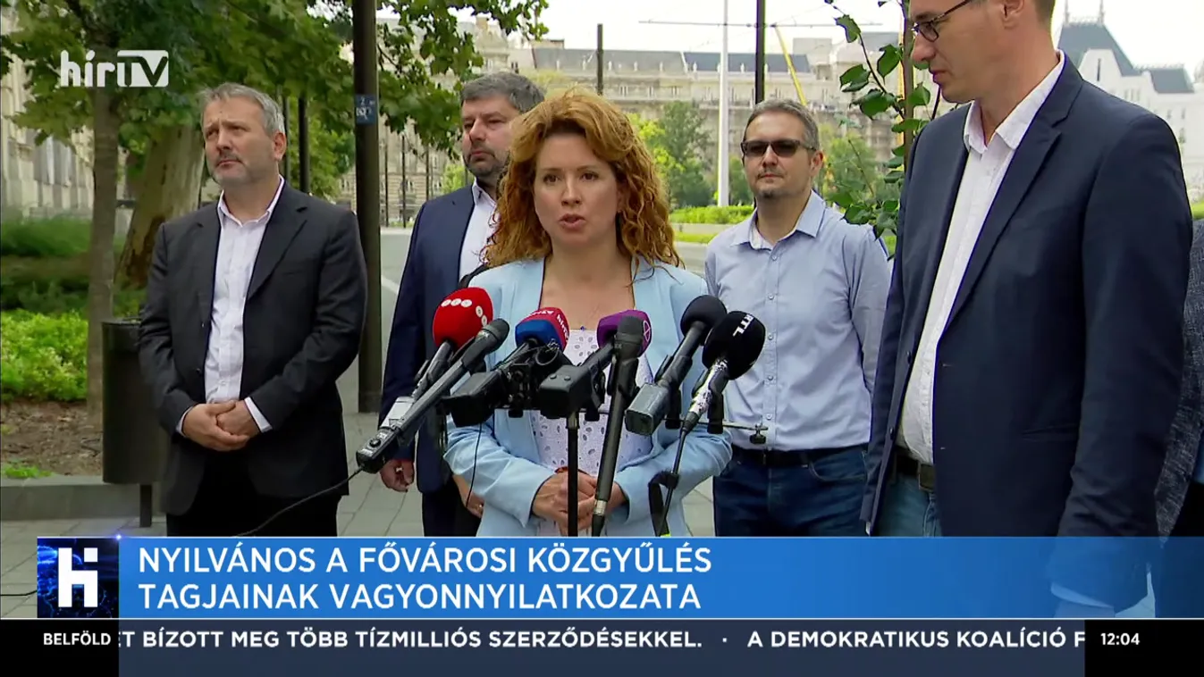 Nyilvános a Fővárosi Közgyűlés tagjainak vagyonnyilatkozata