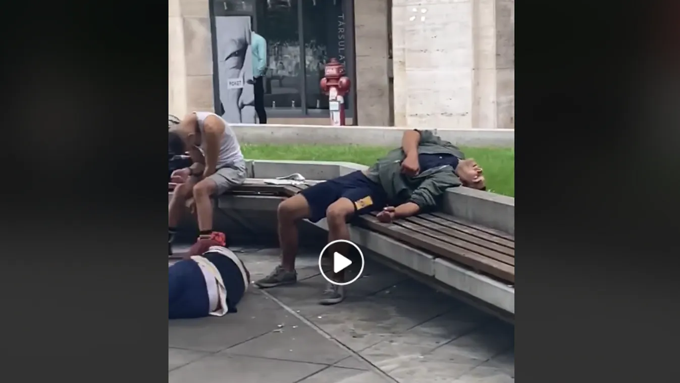 Ez ma Erzsébetváros: Niedermüller Péter szerint a kultúra negyede