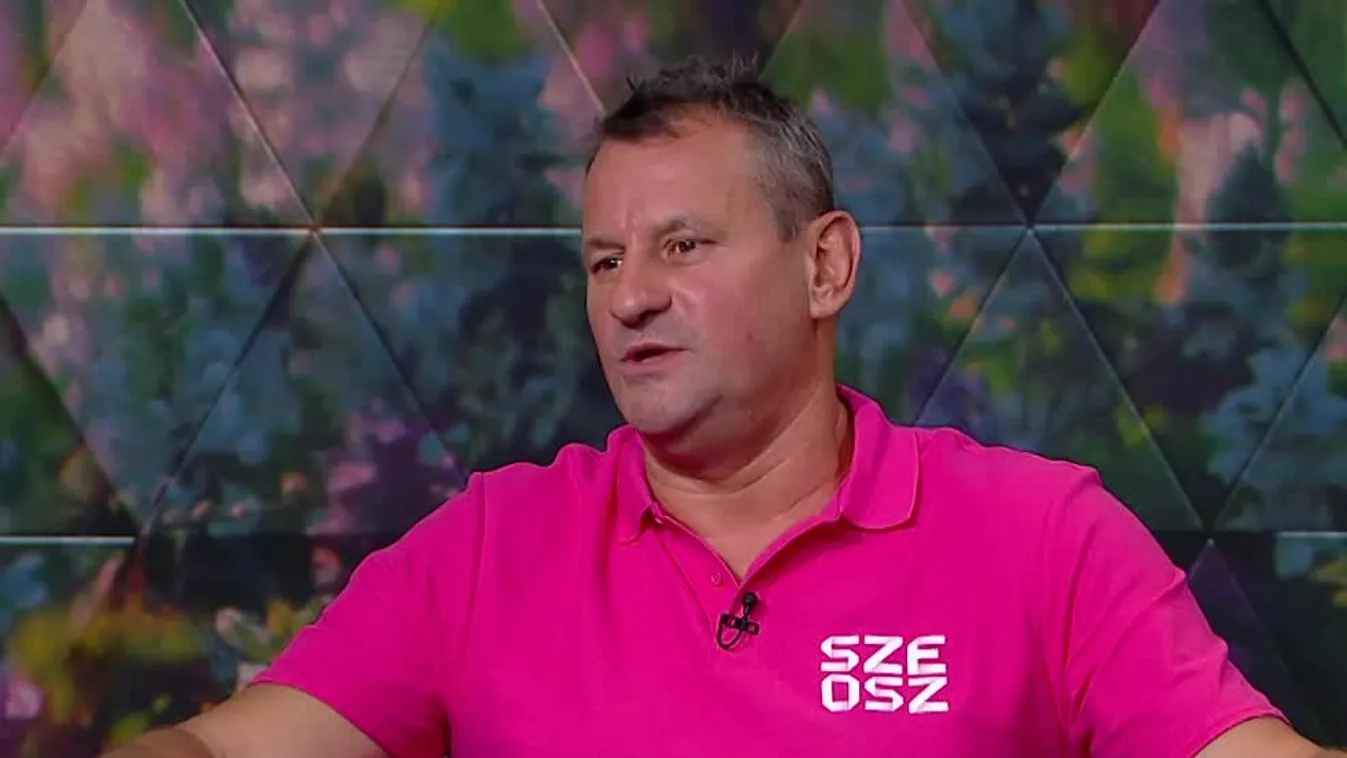 Mozaik - Futókörök napja