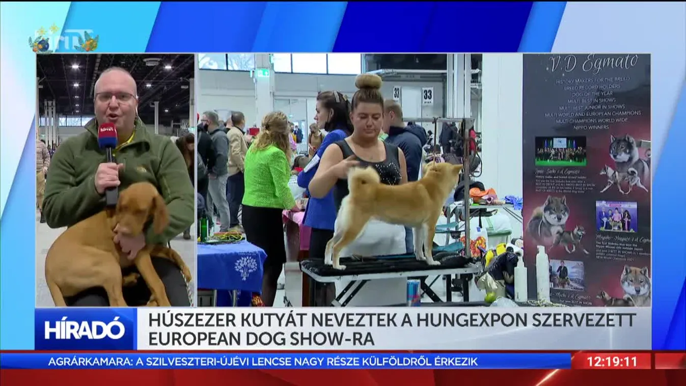 Húszezer kutyát neveztek a Hungexpon szervezett European dog show-ra