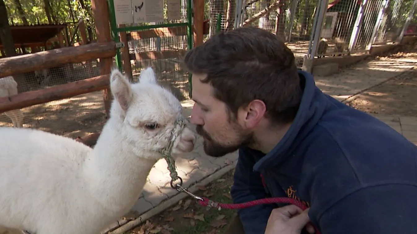 Élménybirtok a Naszály-hegyen