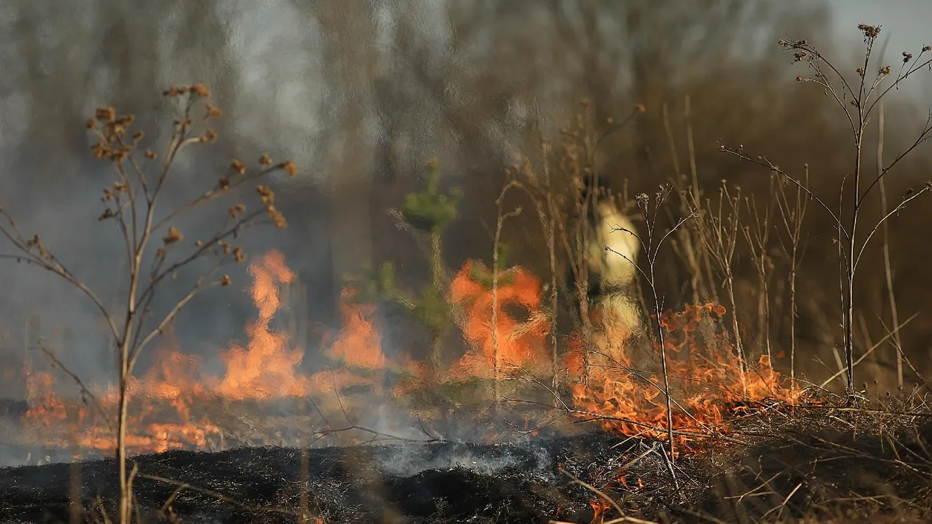 Két, nagy kiterjedésű növényzettűzhöz riasztották egy nap alatt a fővárosi tűzoltókat