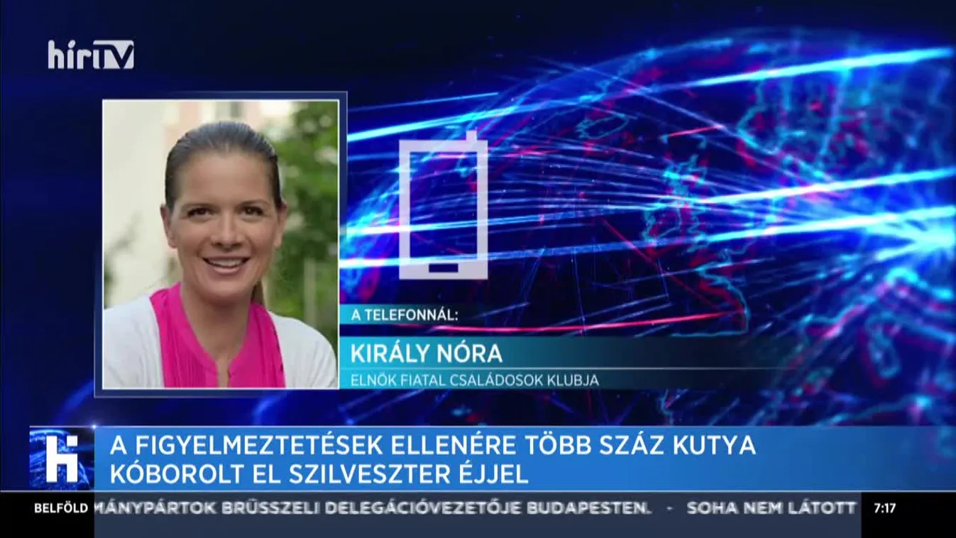 A figyelmeztetések ellenére több száz kutya kóborolt el az év utolsó napján