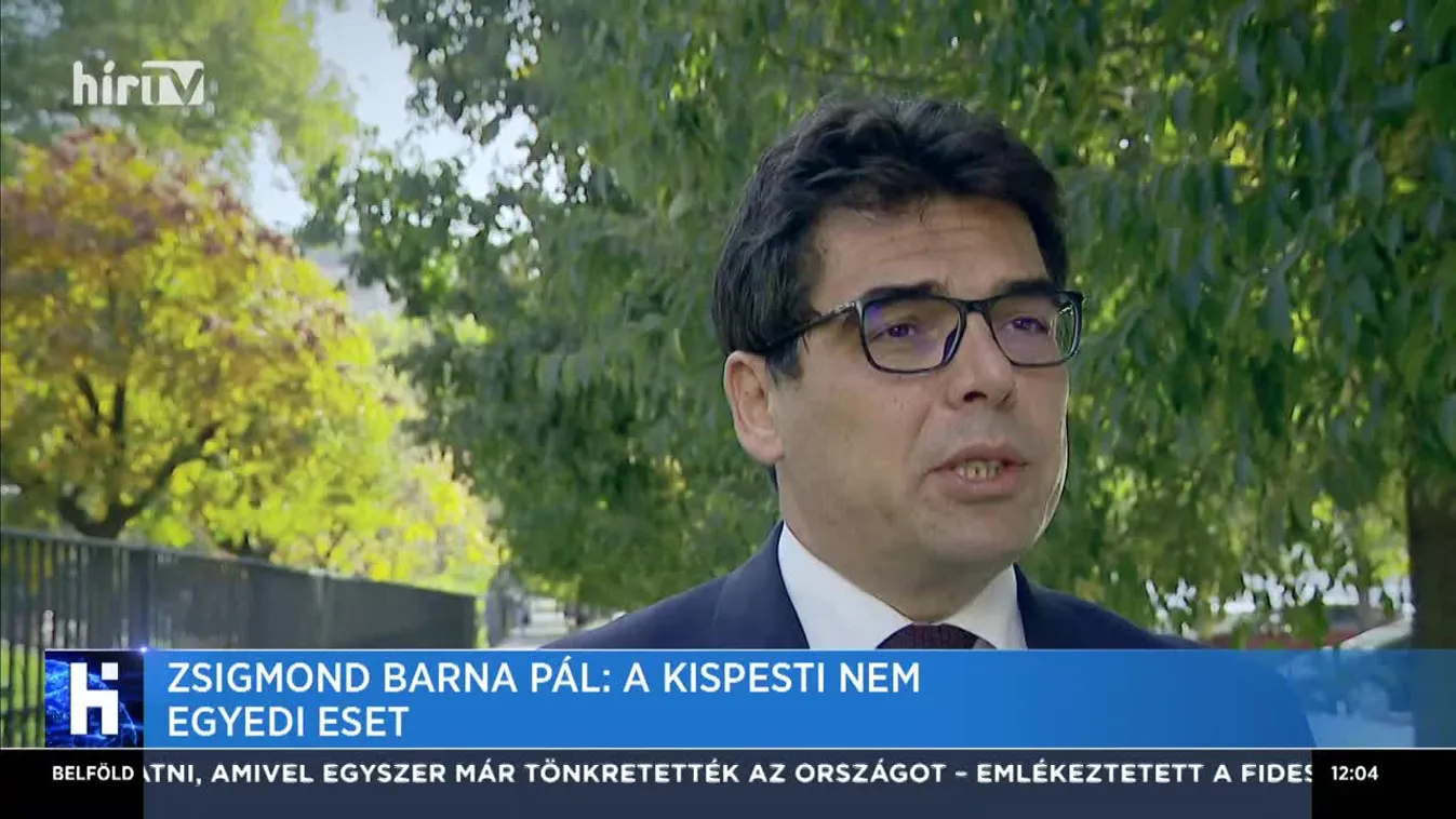 Zsigmond Barna Pál: A kispesti nem egyedi eset