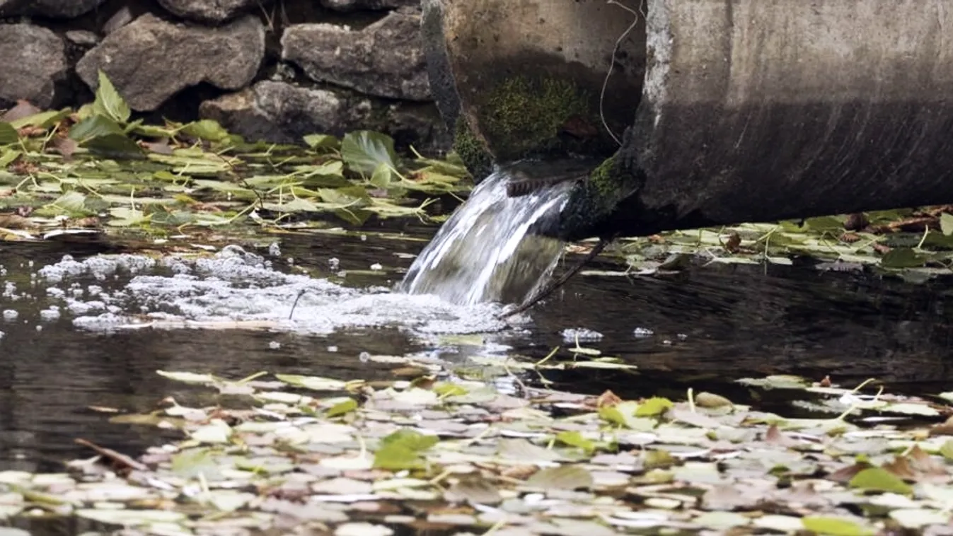 Keki Duna keringő – Látótér
