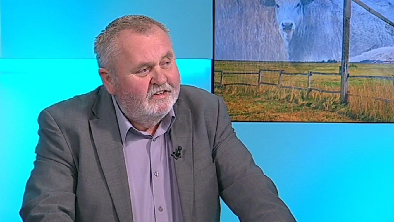 Juhászokat szorítanának ki a vadászok