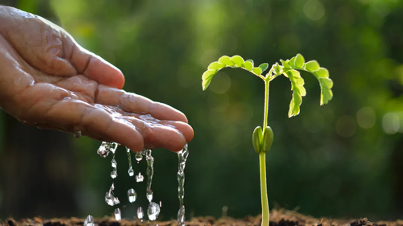 Ma van a Víz Világnapja - A Magyar Víziközmű Szövetség közleménye
