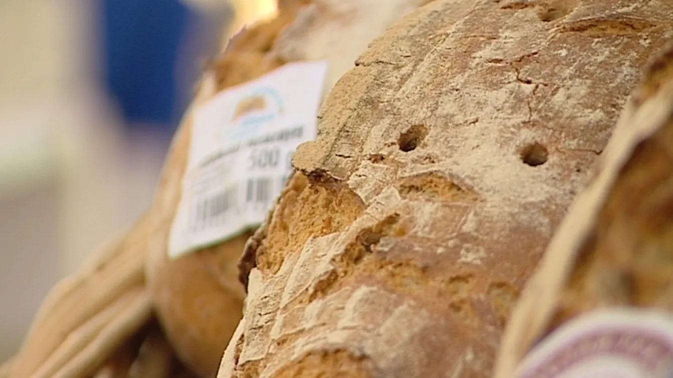 Minőségre és tudatosságra nevelne a kormány