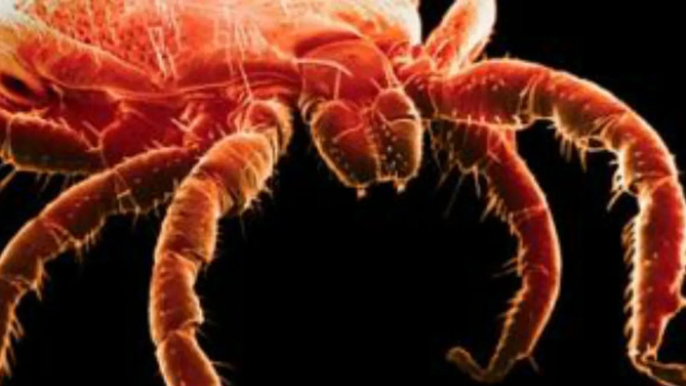 Újra támadnak – Reggeli járat