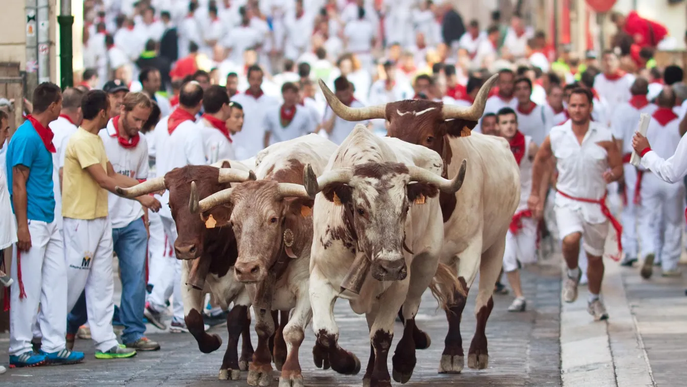 Radar - Életveszélyes fieszta